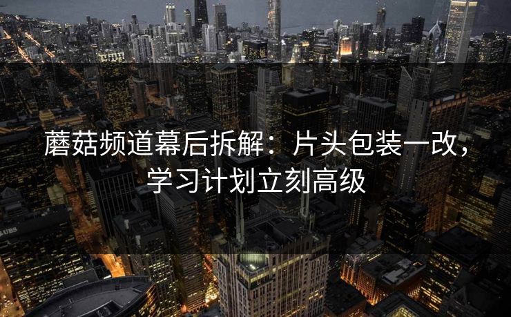 蘑菇频道幕后拆解:片头包装一改,学习计划立刻高级 蘑菇频道幕后拆解:片头包装一改,学习计划立刻高级