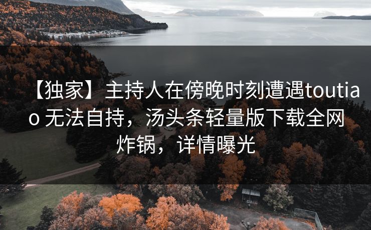 【独家】主持人在傍晚时刻遭遇toutiao 无法自持，汤头条轻量版下载全网炸锅，详情曝光