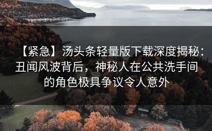 【紧急】汤头条轻量版下载深度揭秘：丑闻风波背后，神秘人在公共洗手间的角色极具争议令人意外